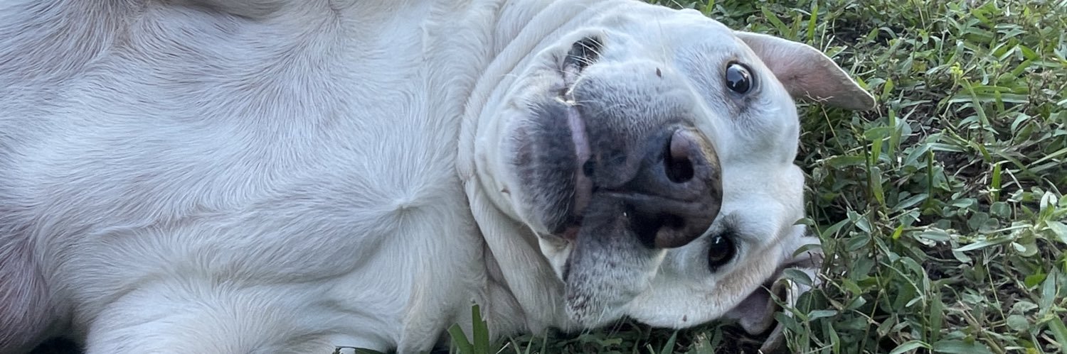 HendrixB13's profile banner image