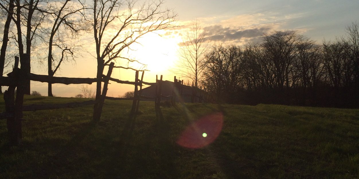 MandaSchweitzer's profile banner image