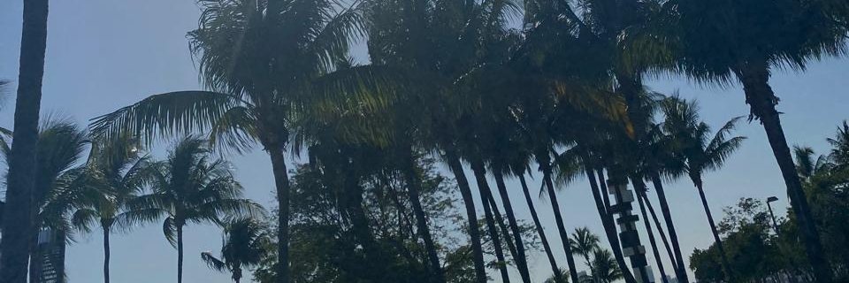 DomenicaNR's profile banner image