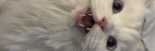 a_10ji_'s profile banner image