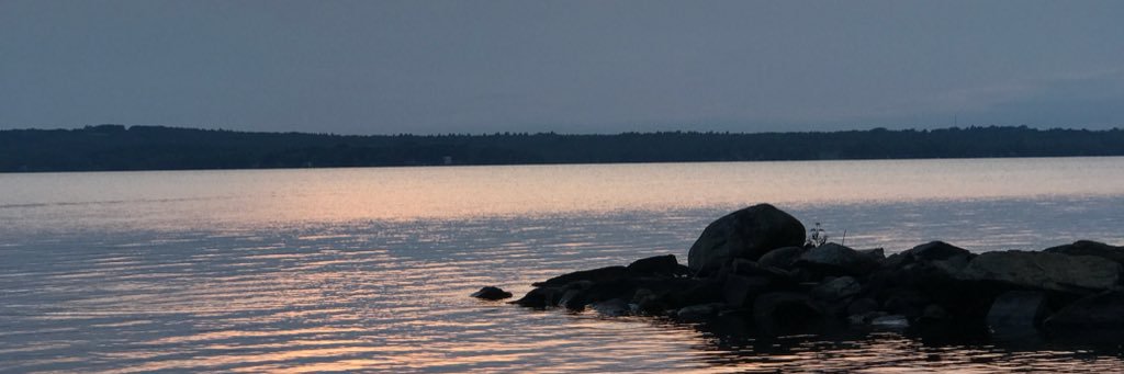 Cameron_Wils's profile banner image