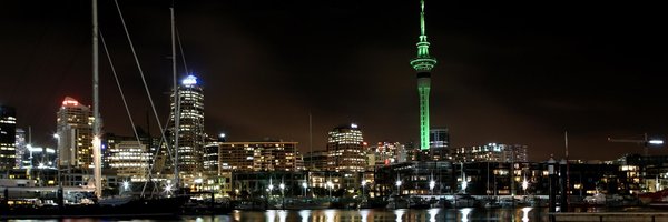 CathyKoo Profile Banner