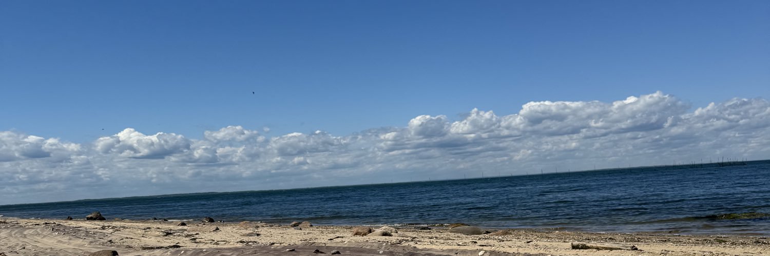 mariasantucci_'s profile banner image