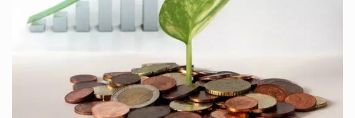 Mr. 𝙇𝙚𝙖𝙙 🦏 banner