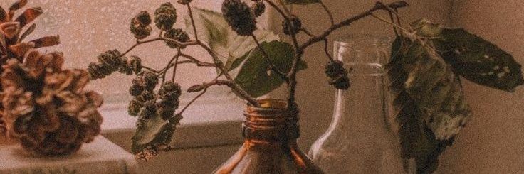 idcalou's profile banner image
