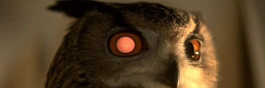 cidiaesthetic banner