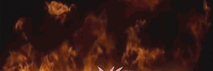 it_sdino's profile banner image