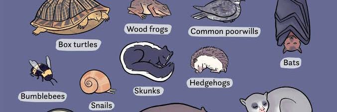 内村イタル banner