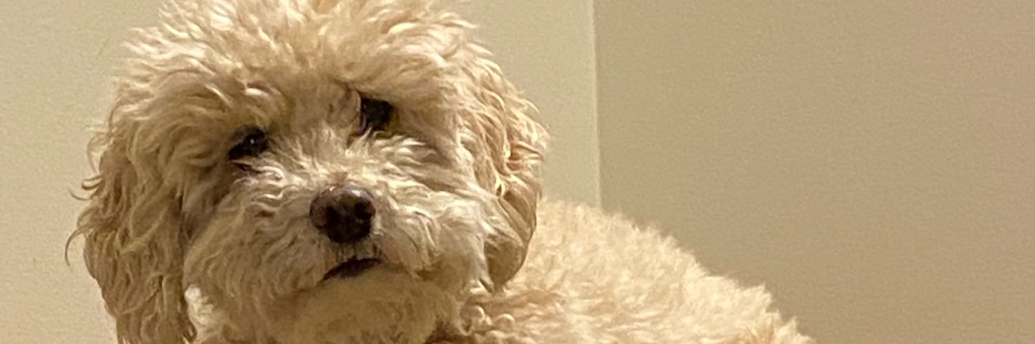 soitgoes910's profile banner image