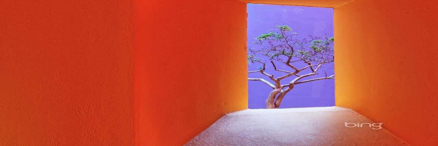mgfurr's profile banner image