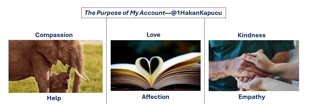 Hakan Kapucu's banner