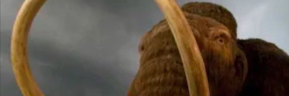Lurnokus's profile banner image