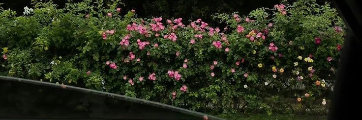 hellobabyy19's profile banner image