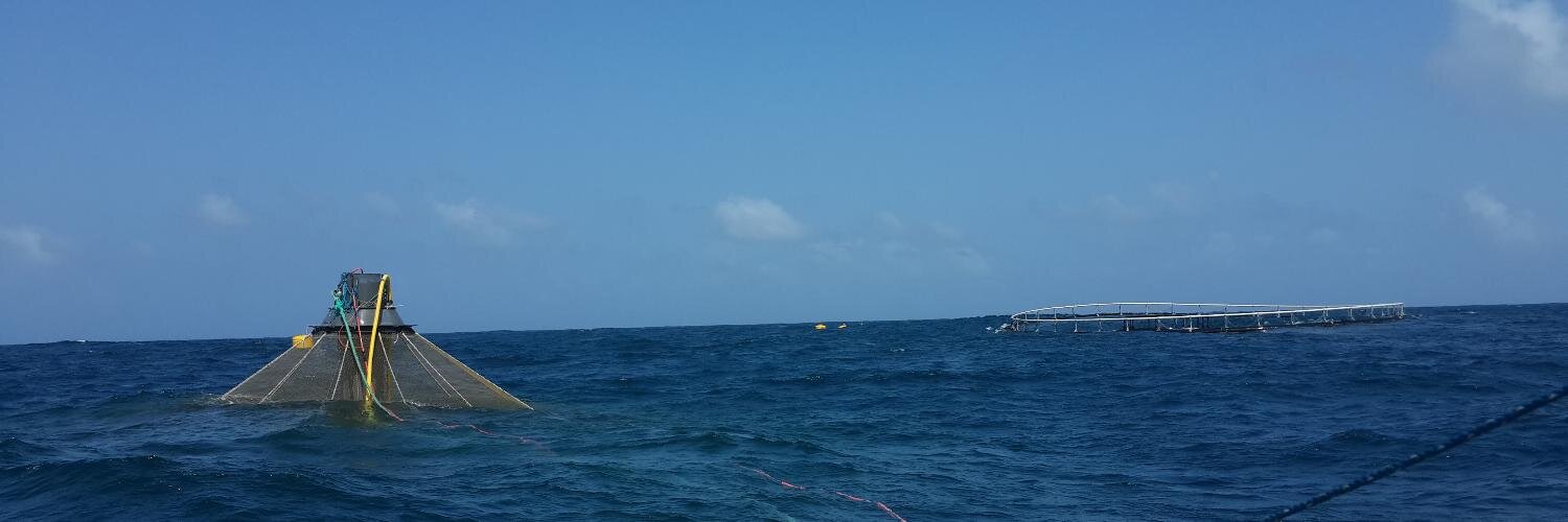 Diegoloticus  banner