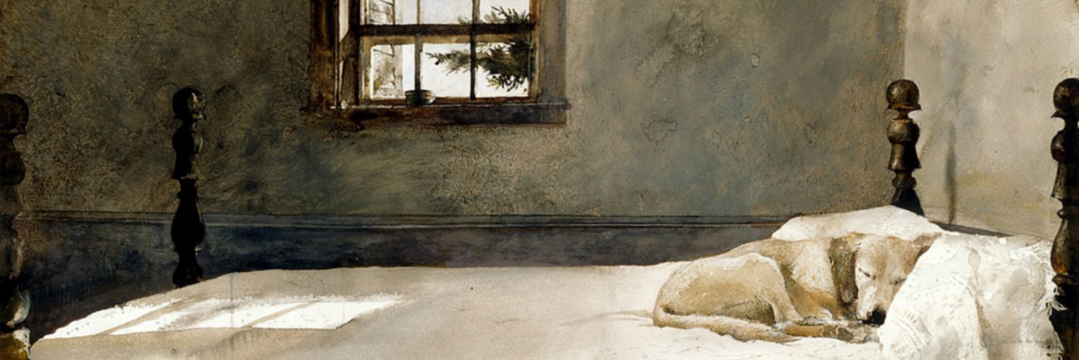 BenLaifsky's profile banner image