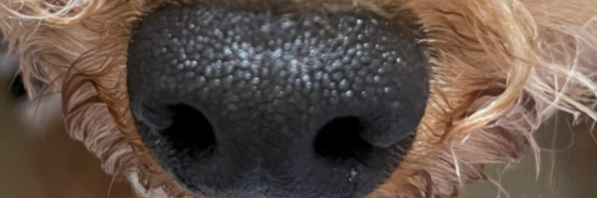 取引垢 banner