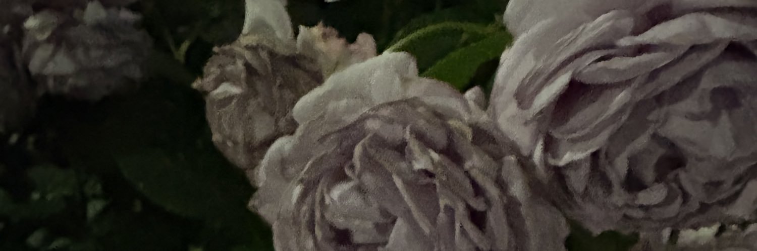 ノノ banner