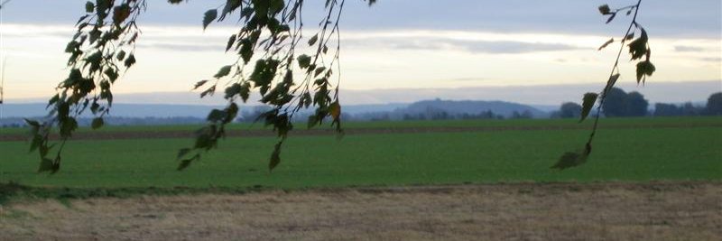 Toby de Greef 🇳🇱 🎼🚲⚓️👫🇳🇱 banner