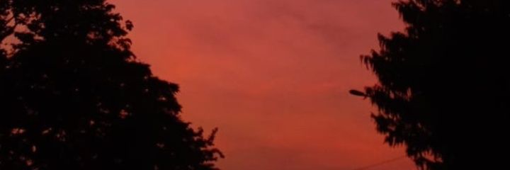 maladwi2's profile banner image
