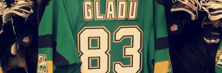 ZGladu's profile banner image