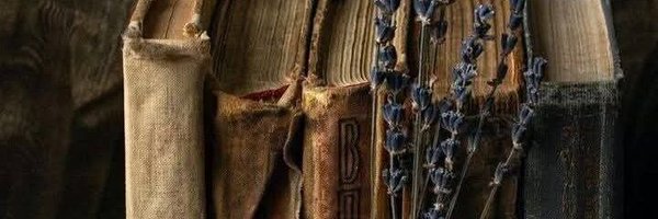 flumenarium Profile Banner