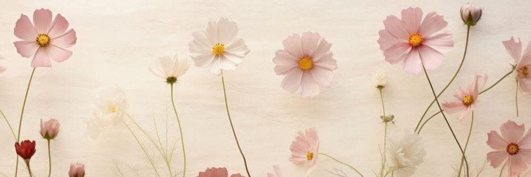 LIANECARRILHO's profile banner image