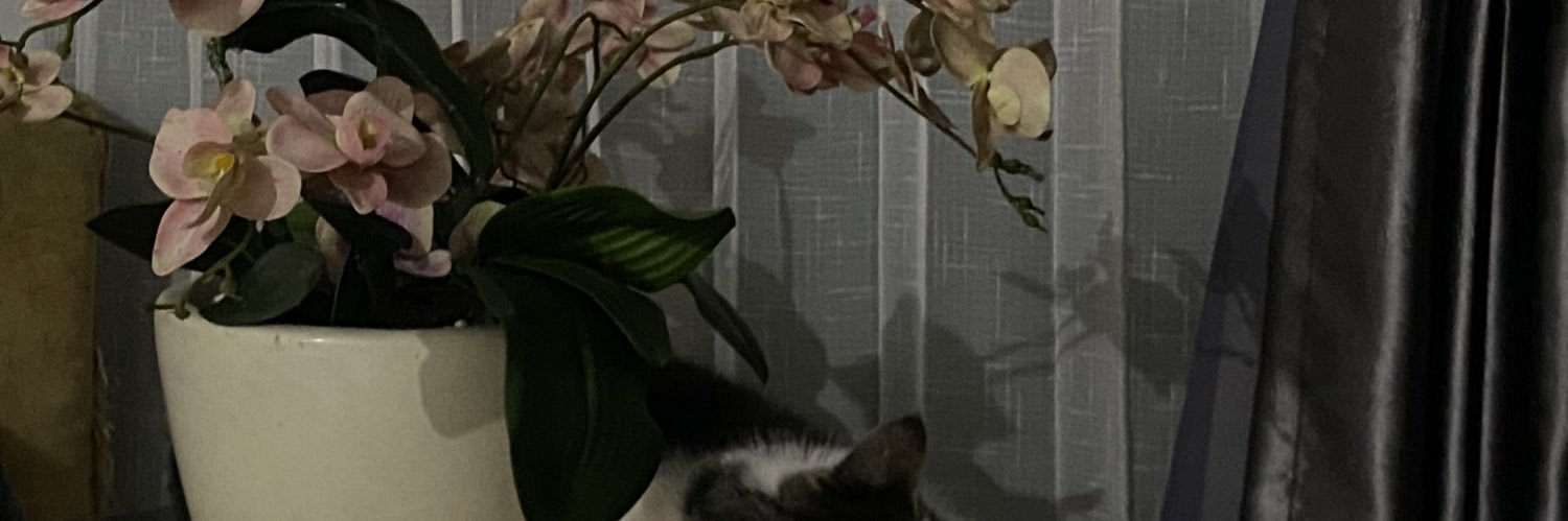 aurel 🤺☀️🍶🧤🩷 banner