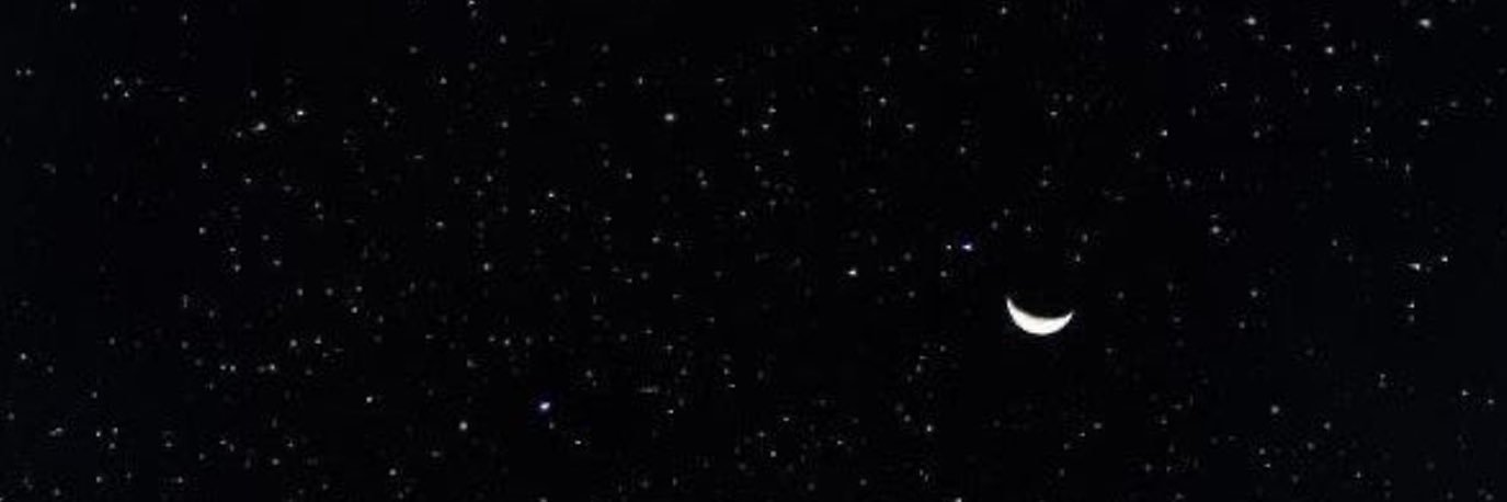 project hail chlo ☻ banner