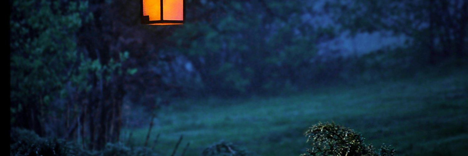 Korneev Aleksei banner