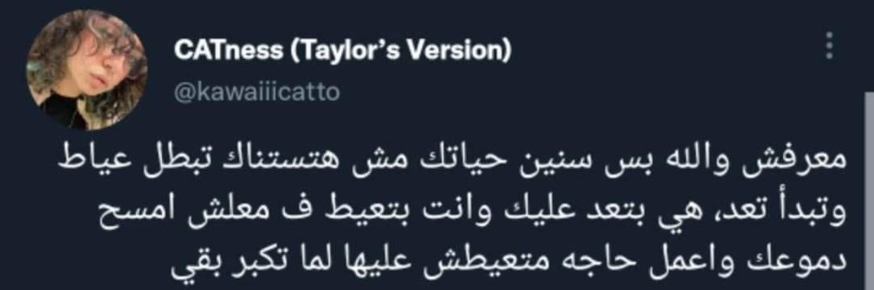 salmayasserr_0's profile banner image