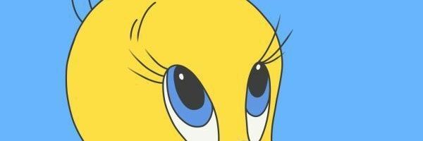 zar_smmm's profile banner image