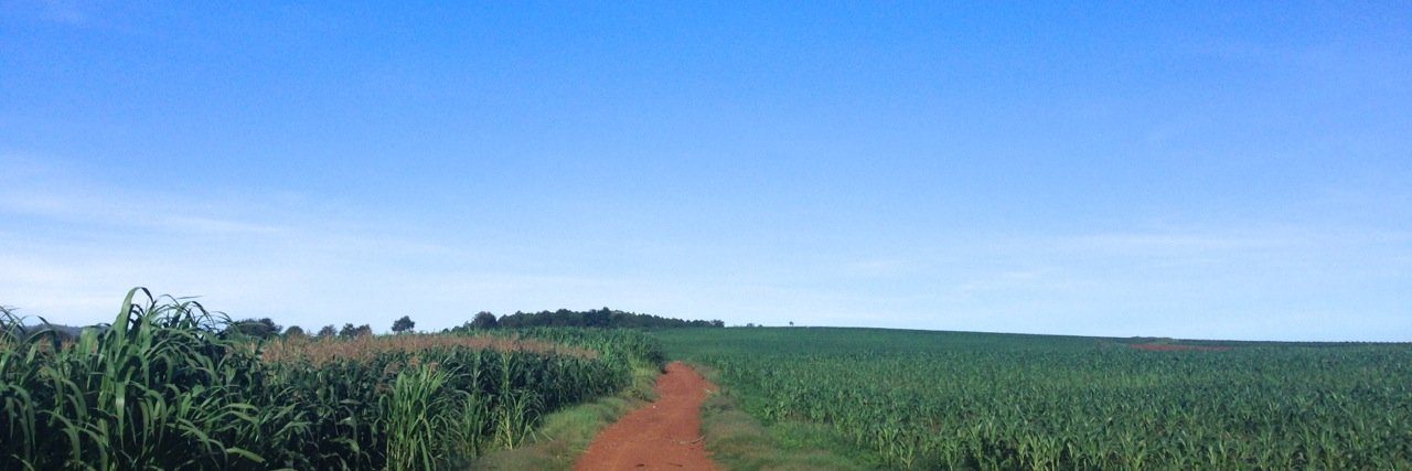 Masuko/Pizza 4P’s 益子 🇯🇵🇮🇳🇺🇸🇻🇳🇰🇭🇮🇩 banner