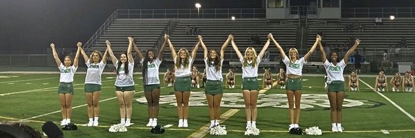 Cats_Cheer Profile Banner