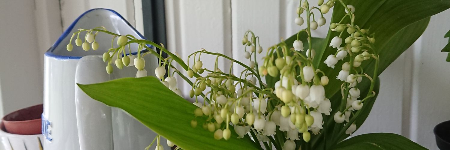 martin_winberg's profile banner image