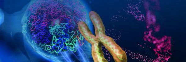 Chromosoma_EB Profile Banner