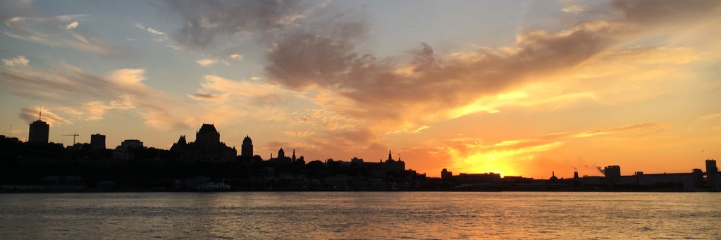 Maxime Pelchat banner