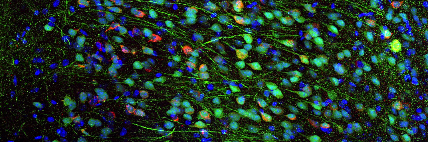 Optogenetics Gordon Research Conference's banner
