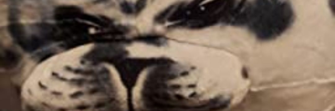 TeaTree's banner
