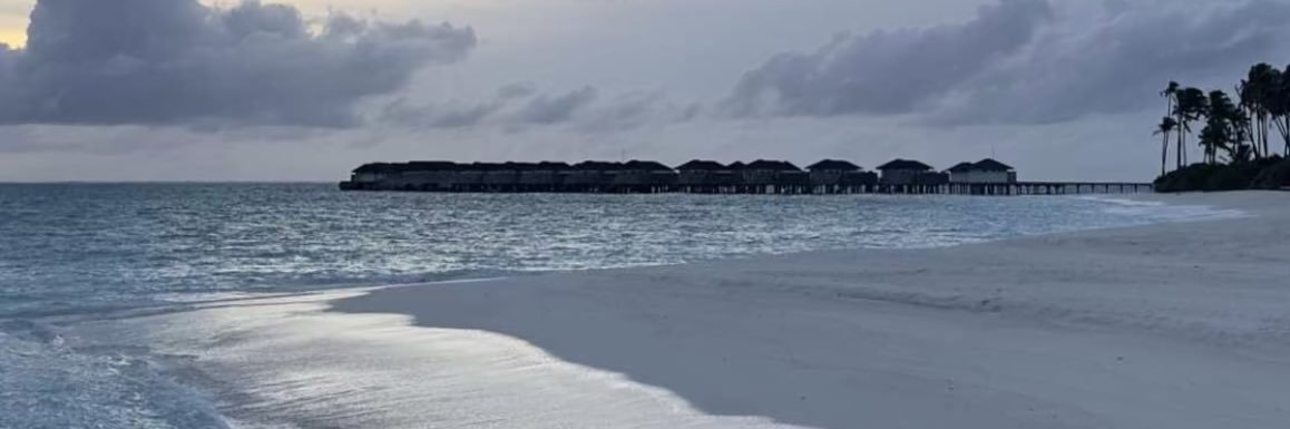 أشواق العتيبي🦋 banner