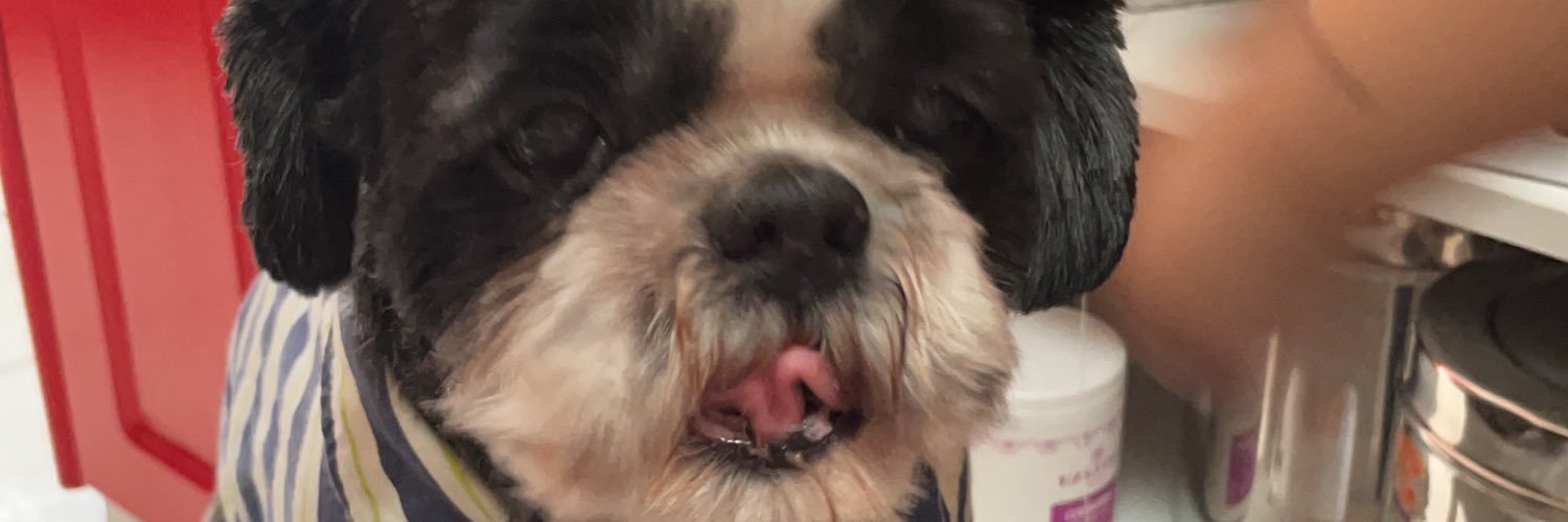 sofiacaldem's profile banner image