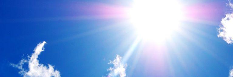 Sandra Gamboa banner