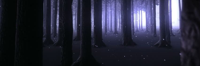 RyderOfTheBull's profile banner image