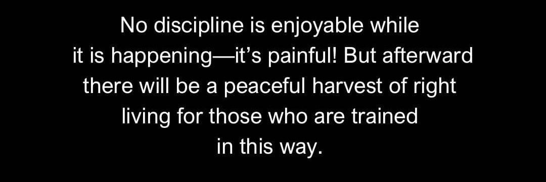 Alpha Protocol 🥷 banner