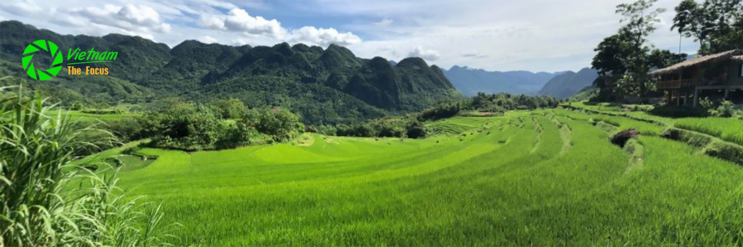 than_hoang's profile banner image