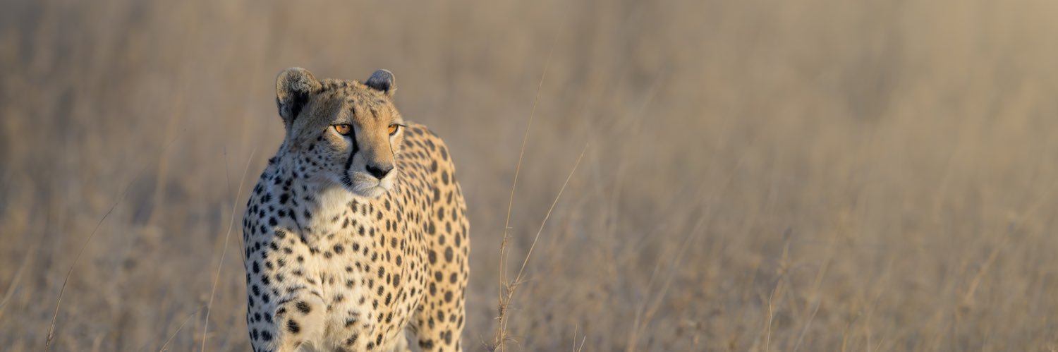 Jonathan Gardner banner