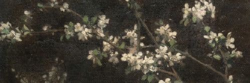 zoë katherine banner