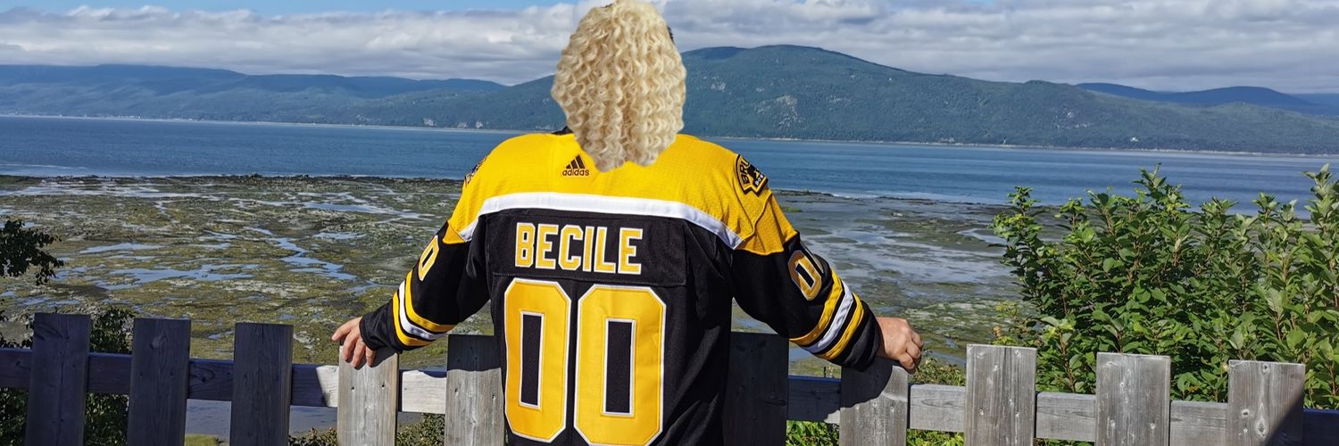 Alain Becile ®'s banner