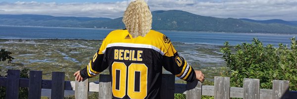 halimbecile Profile Banner
