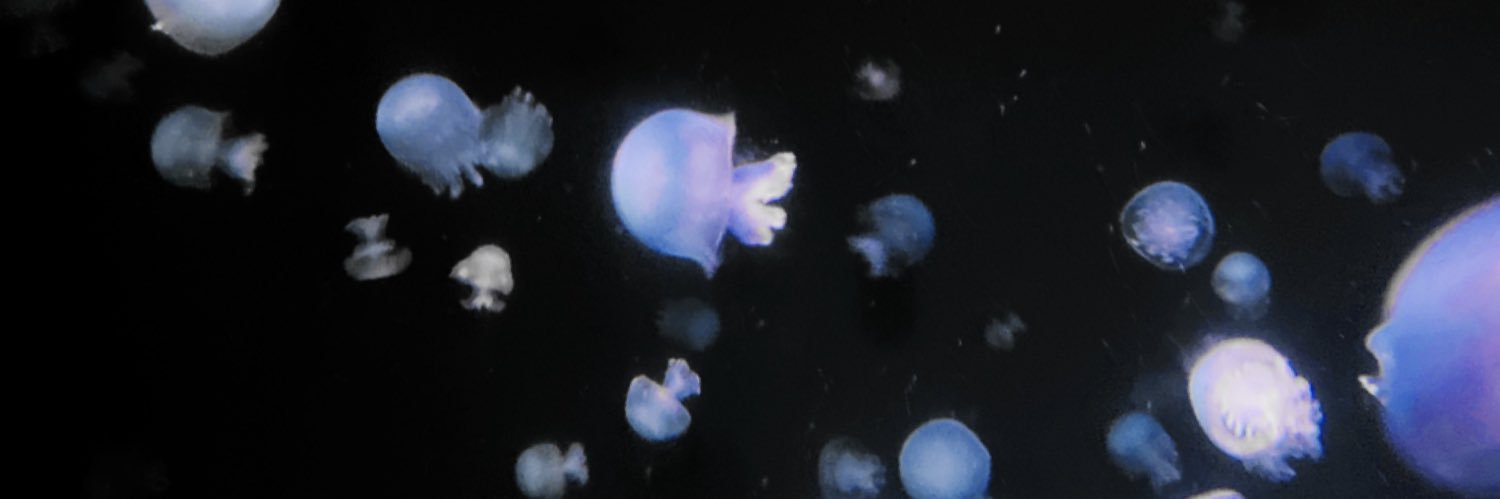 3zu4no_'s profile banner image