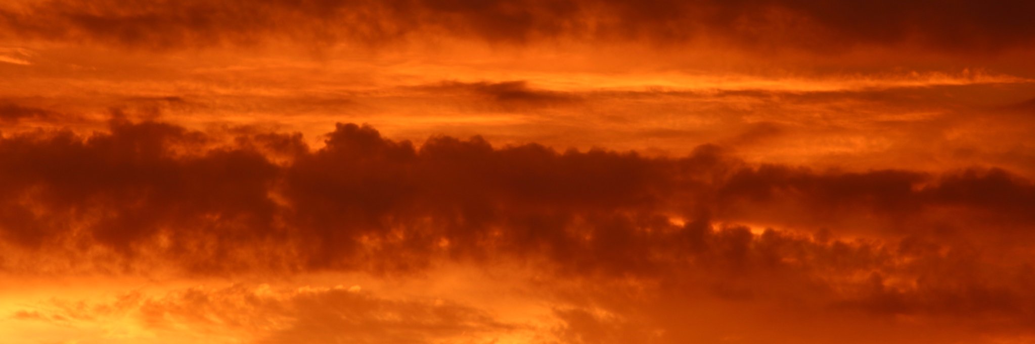 walmarama's profile banner image
